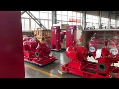 De Maas Diesel Engine Driven Pump